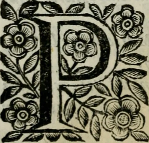An illustration from Scena letteraria de gli scrittori bergamaschi aperta alla cvriosità de svoi concittadini .., 1664, leaf 365