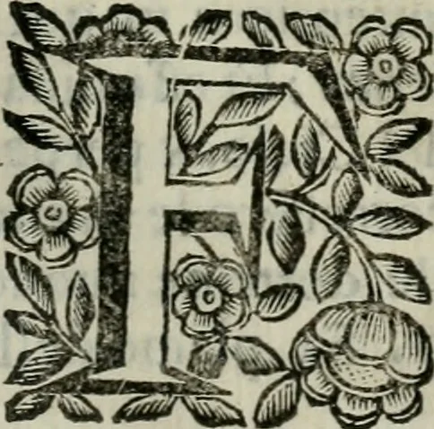 An illustration from Scena letteraria de gli scrittori bergamaschi aperta alla cvriosità de svoi concittadini .., 1664, leaf 368
