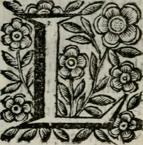 An illustration from Scena letteraria de gli scrittori bergamaschi aperta alla cvriosità de svoi concittadini .., 1664, leaf 373