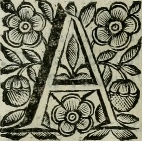 An illustration from Scena letteraria de gli scrittori bergamaschi aperta alla cvriosità de svoi concittadini .., 1664, leaf 376