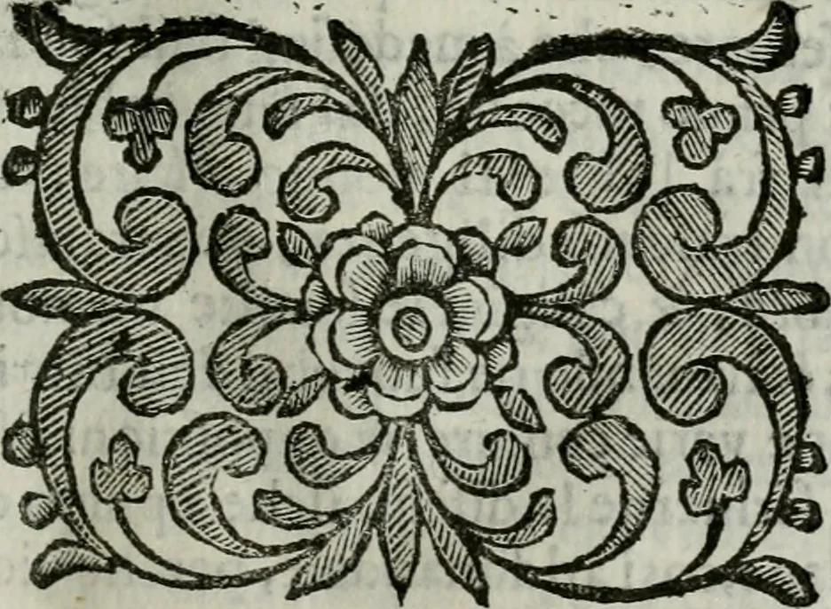 An illustration from Scena letteraria de gli scrittori bergamaschi aperta alla cvriosità de svoi concittadini .., 1664, leaf 38