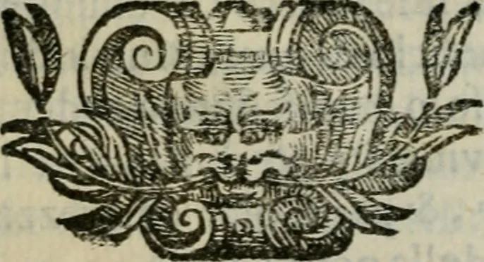 An illustration from Scena letteraria de gli scrittori bergamaschi aperta alla cvriosità de svoi concittadini .., 1664, leaf 381