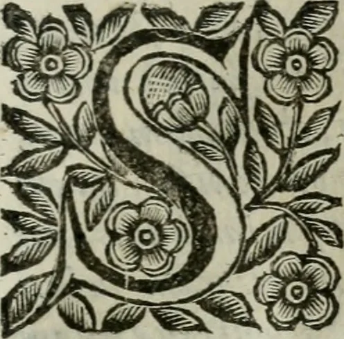 An illustration from Scena letteraria de gli scrittori bergamaschi aperta alla cvriosità de svoi concittadini .., 1664, leaf 382