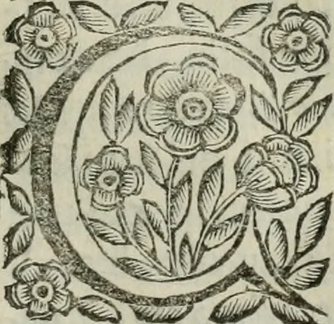 An illustration from Scena letteraria de gli scrittori bergamaschi aperta alla cvriosità de svoi concittadini .., 1664, leaf 384