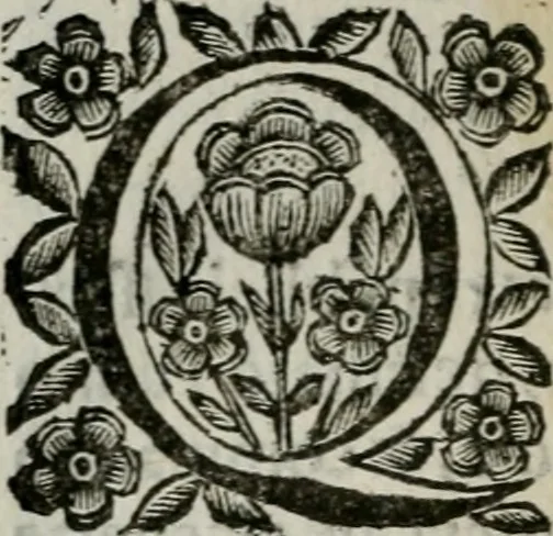 An illustration from Scena letteraria de gli scrittori bergamaschi aperta alla cvriosità de svoi concittadini .., 1664, leaf 387