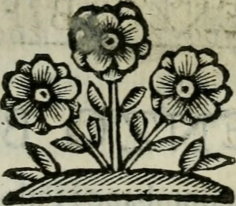 An illustration from Scena letteraria de gli scrittori bergamaschi aperta alla cvriosità de svoi concittadini .., 1664, leaf 388