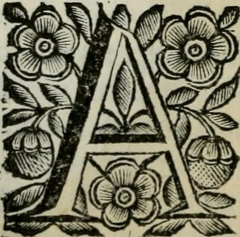 An illustration from Scena letteraria de gli scrittori bergamaschi aperta alla cvriosità de svoi concittadini .., 1664, leaf 389
