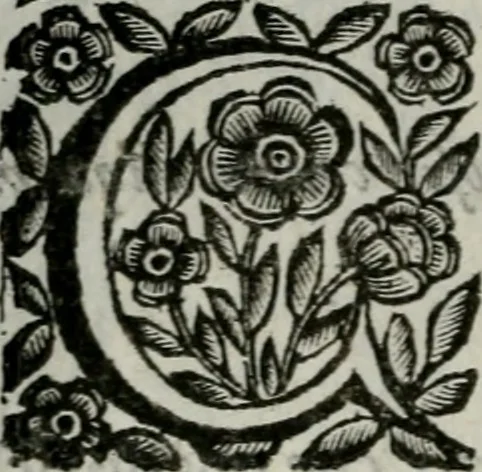 An illustration from Scena letteraria de gli scrittori bergamaschi aperta alla cvriosità de svoi concittadini .., 1664, leaf 39