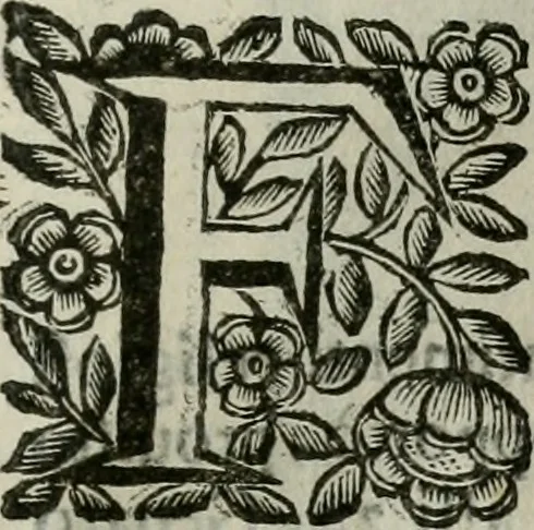 An illustration from Scena letteraria de gli scrittori bergamaschi aperta alla cvriosità de svoi concittadini .., 1664, leaf 392