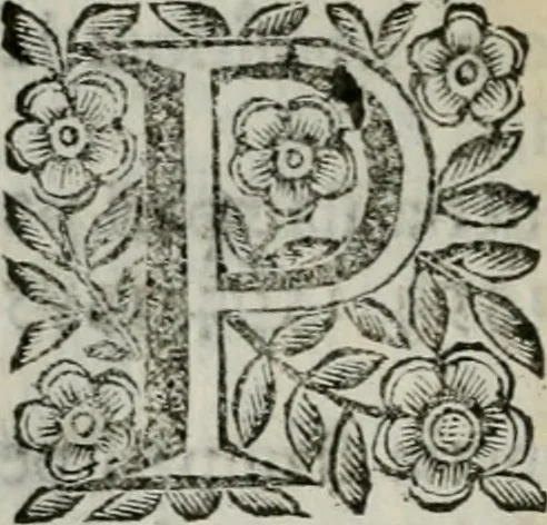 An illustration from Scena letteraria de gli scrittori bergamaschi aperta alla cvriosità de svoi concittadini .., 1664, leaf 399