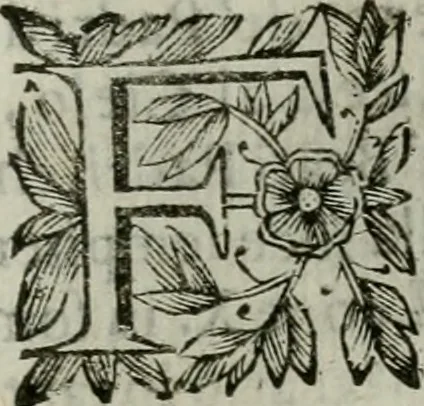 An illustration from Scena letteraria de gli scrittori bergamaschi aperta alla cvriosità de svoi concittadini .., 1664, leaf 404