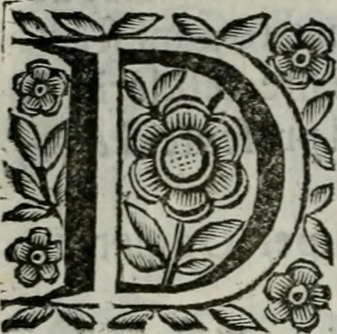 An illustration from Scena letteraria de gli scrittori bergamaschi aperta alla cvriosità de svoi concittadini .., 1664, leaf 41