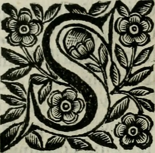 An illustration from Scena letteraria de gli scrittori bergamaschi aperta alla cvriosità de svoi concittadini .., 1664, leaf 410