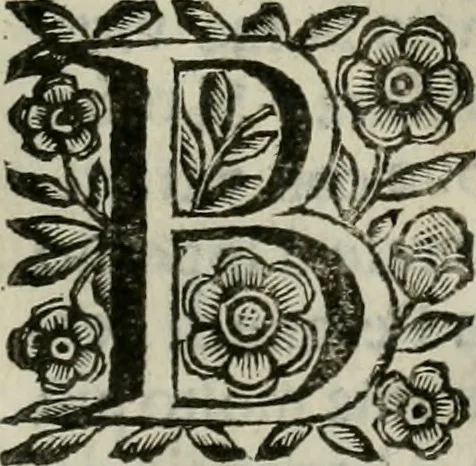 An illustration from Scena letteraria de gli scrittori bergamaschi aperta alla cvriosità de svoi concittadini .., 1664, leaf 412