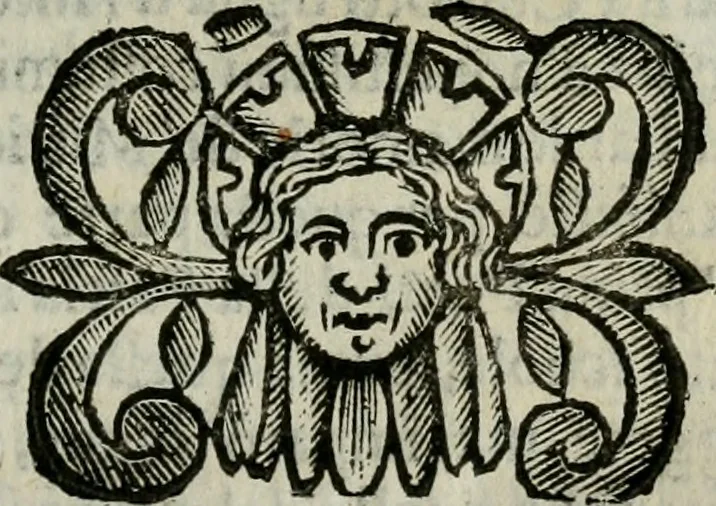 An illustration from Scena letteraria de gli scrittori bergamaschi aperta alla cvriosità de svoi concittadini .., 1664, leaf 416