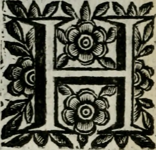 An illustration from Scena letteraria de gli scrittori bergamaschi aperta alla cvriosità de svoi concittadini .., 1664, leaf 417
