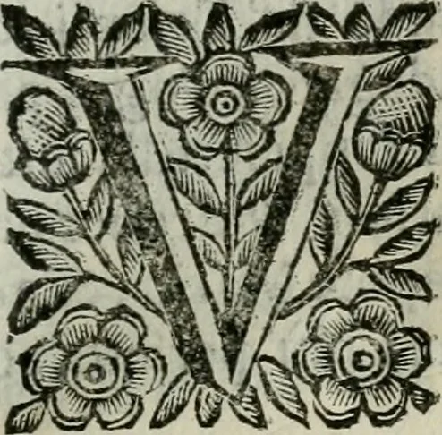 An illustration from Scena letteraria de gli scrittori bergamaschi aperta alla cvriosità de svoi concittadini .., 1664, leaf 420