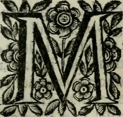 An illustration from Scena letteraria de gli scrittori bergamaschi aperta alla cvriosità de svoi concittadini .., 1664, leaf 422
