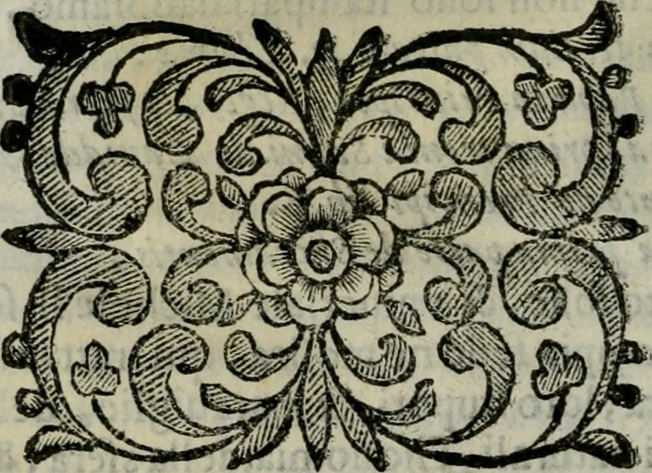 An illustration from Scena letteraria de gli scrittori bergamaschi aperta alla cvriosità de svoi concittadini .., 1664, leaf 427