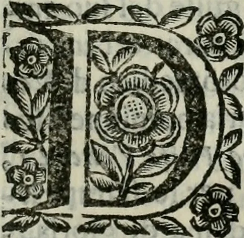 An illustration from Scena letteraria de gli scrittori bergamaschi aperta alla cvriosità de svoi concittadini .., 1664, leaf 428