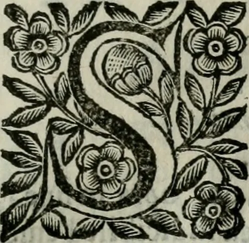 An illustration from Scena letteraria de gli scrittori bergamaschi aperta alla cvriosità de svoi concittadini .., 1664, leaf 432