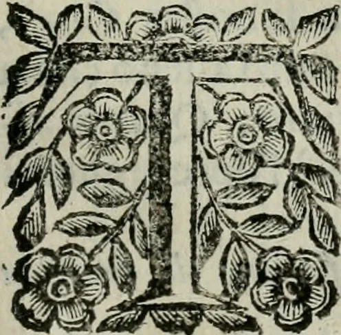 An illustration from Scena letteraria de gli scrittori bergamaschi aperta alla cvriosità de svoi concittadini .., 1664, leaf 436
