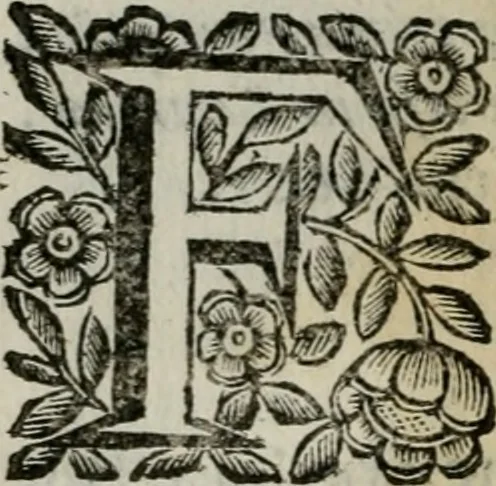 An illustration from Scena letteraria de gli scrittori bergamaschi aperta alla cvriosità de svoi concittadini .., 1664, leaf 439