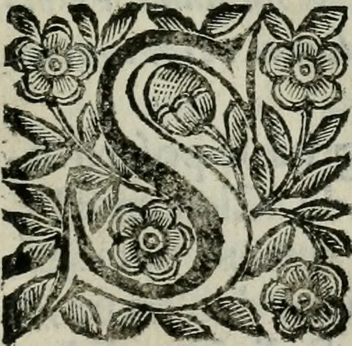 An illustration from Scena letteraria de gli scrittori bergamaschi aperta alla cvriosità de svoi concittadini .., 1664, leaf 444