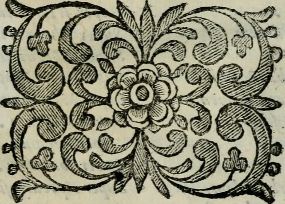 An illustration from Scena letteraria de gli scrittori bergamaschi aperta alla cvriosità de svoi concittadini .., 1664, leaf 447