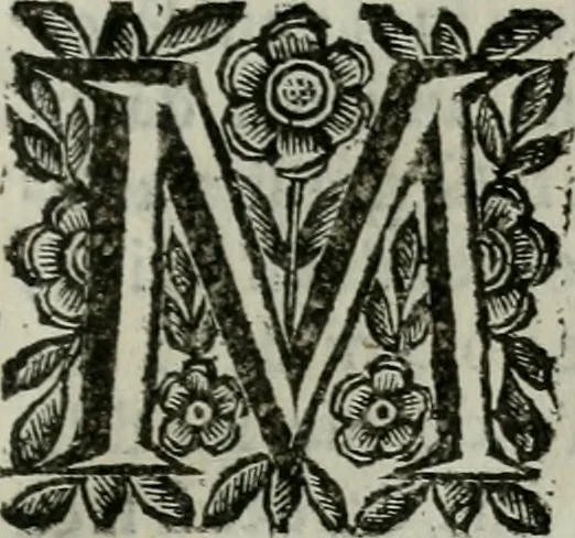 An illustration from Scena letteraria de gli scrittori bergamaschi aperta alla cvriosità de svoi concittadini .., 1664, leaf 448