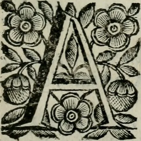 An illustration from Scena letteraria de gli scrittori bergamaschi aperta alla cvriosità de svoi concittadini .., 1664, leaf 450