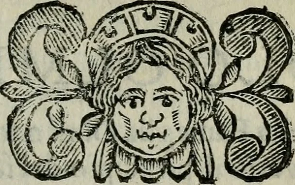 An illustration from Scena letteraria de gli scrittori bergamaschi aperta alla cvriosità de svoi concittadini .., 1664, leaf 452
