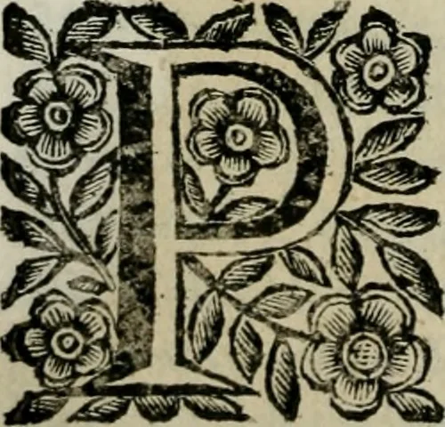 An illustration from Scena letteraria de gli scrittori bergamaschi aperta alla cvriosità de svoi concittadini .., 1664, leaf 453