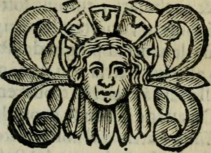 An illustration from Scena letteraria de gli scrittori bergamaschi aperta alla cvriosità de svoi concittadini .., 1664, leaf 456