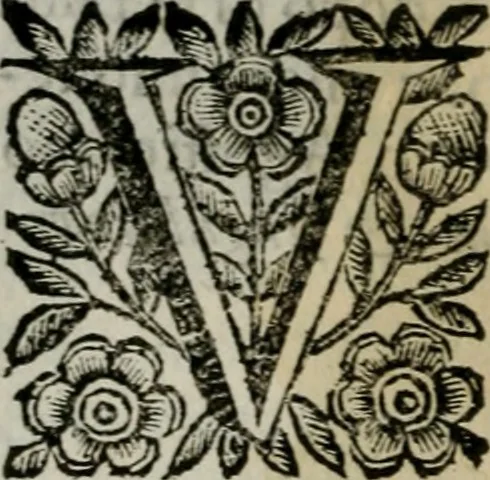An illustration from Scena letteraria de gli scrittori bergamaschi aperta alla cvriosità de svoi concittadini .., 1664, leaf 457