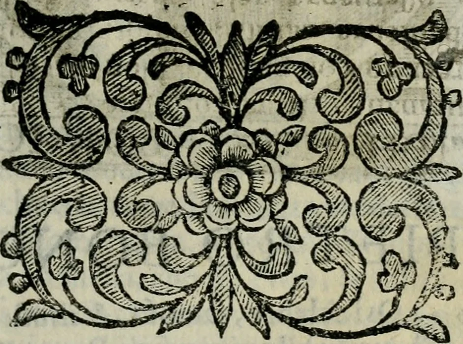 An illustration from Scena letteraria de gli scrittori bergamaschi aperta alla cvriosità de svoi concittadini .., 1664, leaf 460