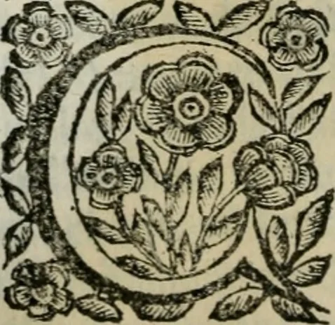 An illustration from Scena letteraria de gli scrittori bergamaschi aperta alla cvriosità de svoi concittadini .., 1664, leaf 461