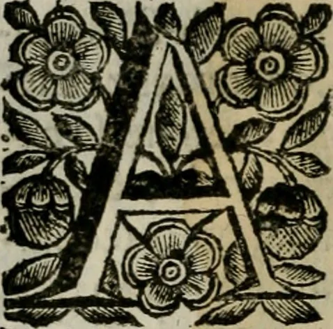 An illustration from Scena letteraria de gli scrittori bergamaschi aperta alla cvriosità de svoi concittadini .., 1664, leaf 467