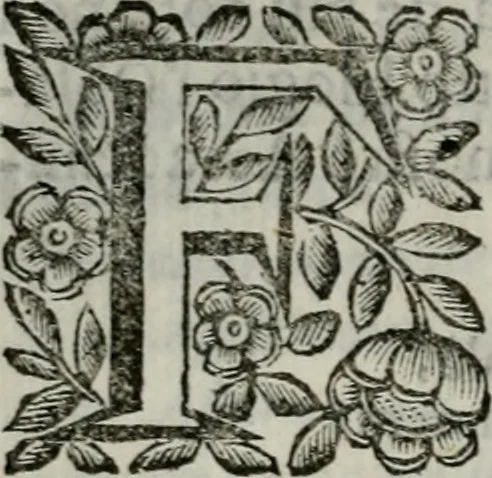 An illustration from Scena letteraria de gli scrittori bergamaschi aperta alla cvriosità de svoi concittadini .., 1664, leaf 47