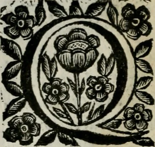 An illustration from Scena letteraria de gli scrittori bergamaschi aperta alla cvriosità de svoi concittadini .., 1664, leaf 473