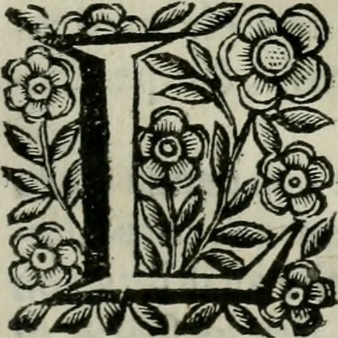 An illustration from Scena letteraria de gli scrittori bergamaschi aperta alla cvriosità de svoi concittadini .., 1664, leaf 484