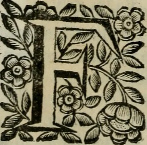 An illustration from Scena letteraria de gli scrittori bergamaschi aperta alla cvriosità de svoi concittadini .., 1664, leaf 487