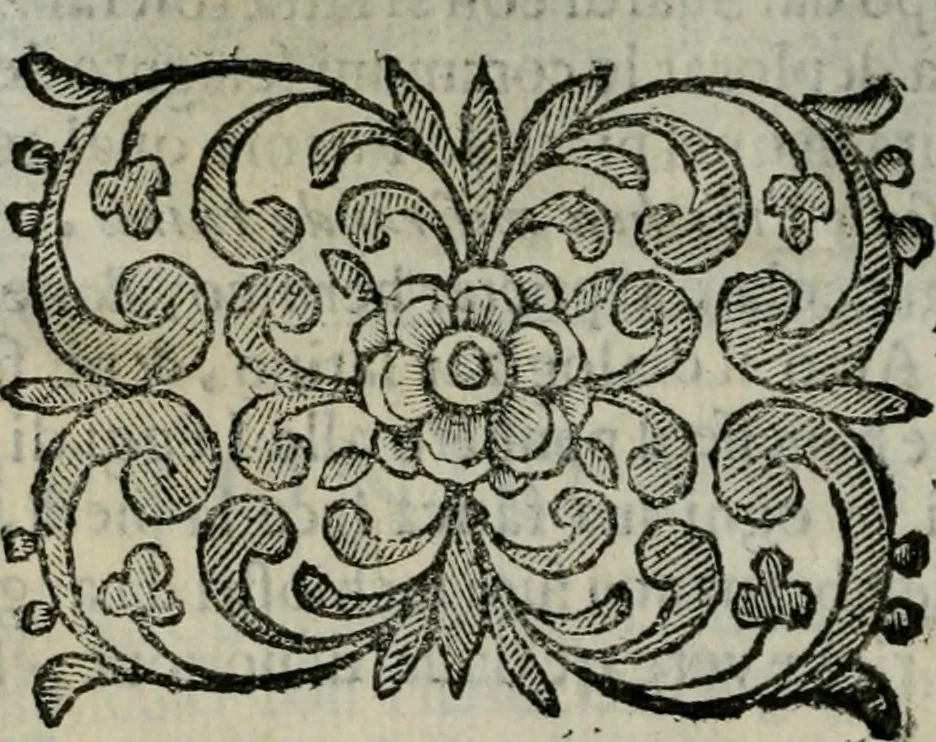 An illustration from Scena letteraria de gli scrittori bergamaschi aperta alla cvriosità de svoi concittadini .., 1664, leaf 489