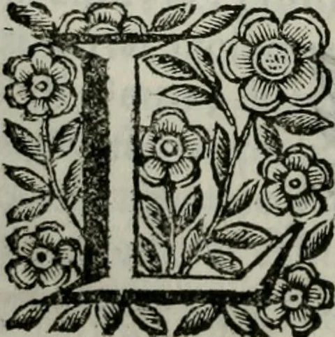 An illustration from Scena letteraria de gli scrittori bergamaschi aperta alla cvriosità de svoi concittadini .., 1664, leaf 49