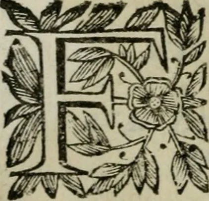 An illustration from Scena letteraria de gli scrittori bergamaschi aperta alla cvriosità de svoi concittadini .., 1664, leaf 499