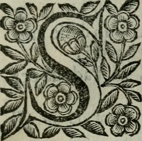 An illustration from Scena letteraria de gli scrittori bergamaschi aperta alla cvriosità de svoi concittadini .., 1664, leaf 502
