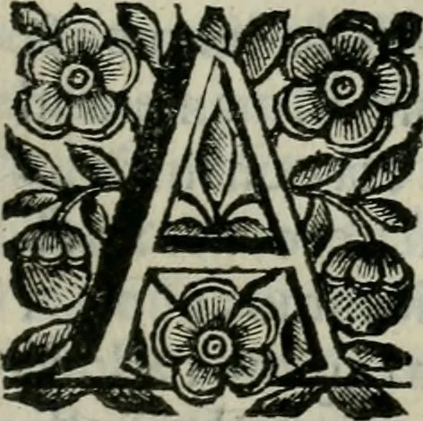 An illustration from Scena letteraria de gli scrittori bergamaschi aperta alla cvriosità de svoi concittadini .., 1664, leaf 504