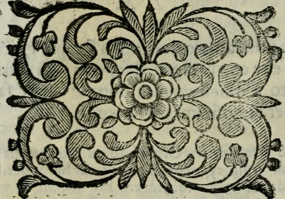 An illustration from Scena letteraria de gli scrittori bergamaschi aperta alla cvriosità de svoi concittadini .., 1664, leaf 513