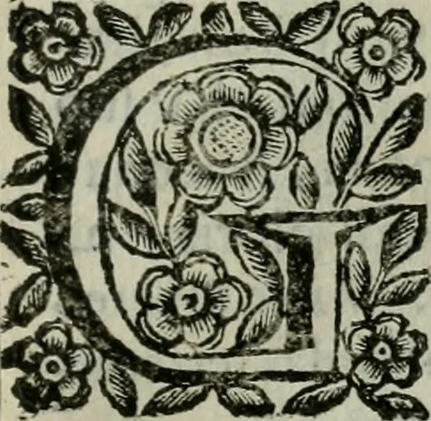 An illustration from Scena letteraria de gli scrittori bergamaschi aperta alla cvriosità de svoi concittadini .., 1664, leaf 516
