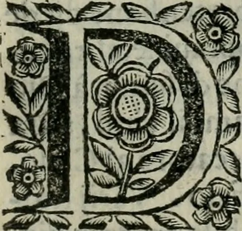 An illustration from Scena letteraria de gli scrittori bergamaschi aperta alla cvriosità de svoi concittadini .., 1664, leaf 518